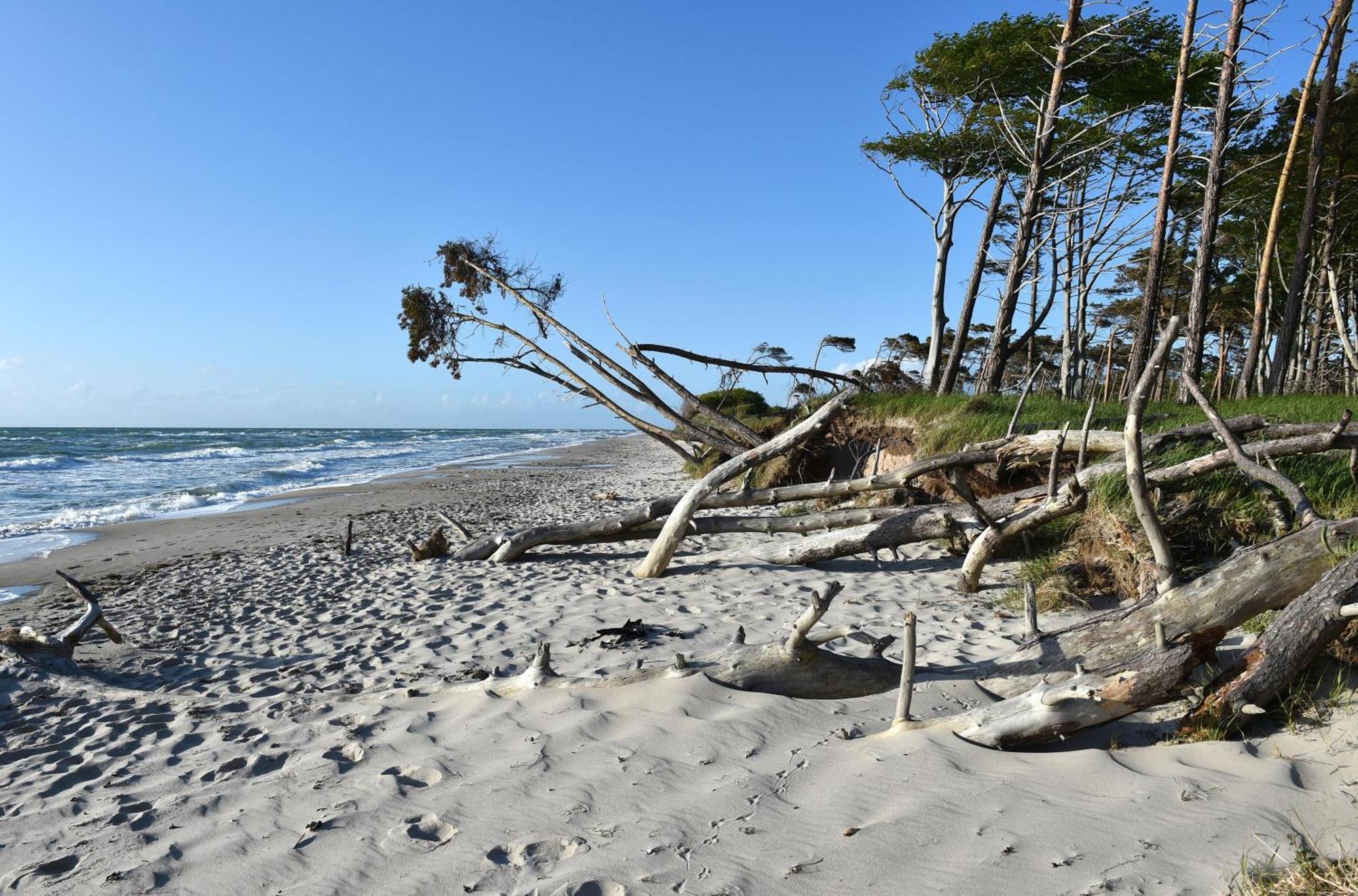 Strand Zingst Exterior photo