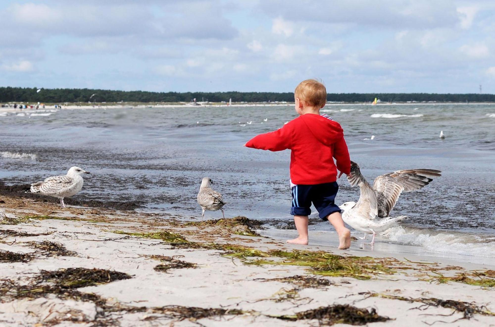 Strand Zingst Exterior photo